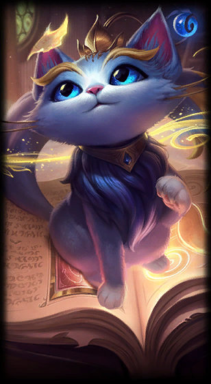 休赛期在地 休赛期在地