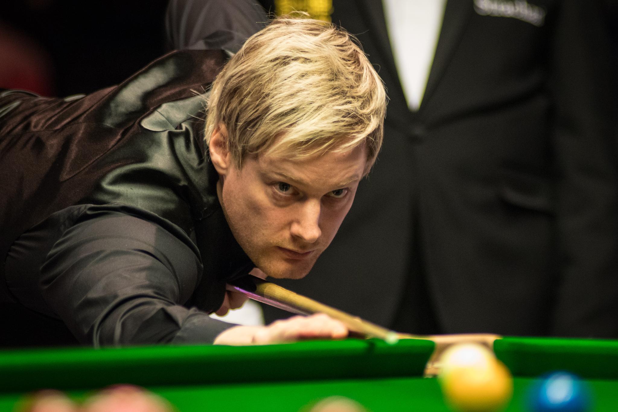 毛球争得更 毛球争得更